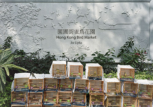 Hong Kong Bird Market